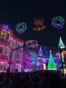 Osborne Spectacle of Dancing Lights...this is the last year they're doing it because they're demolishing this area of Hollywood Studios in preparation for the new Star Wars area!